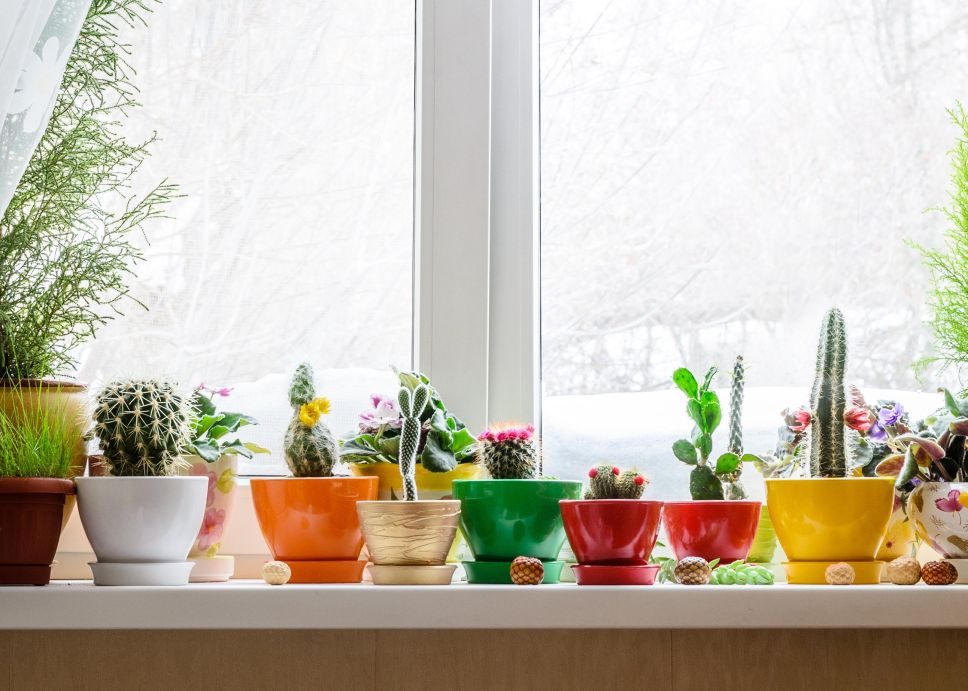 a garden window in a kitchen